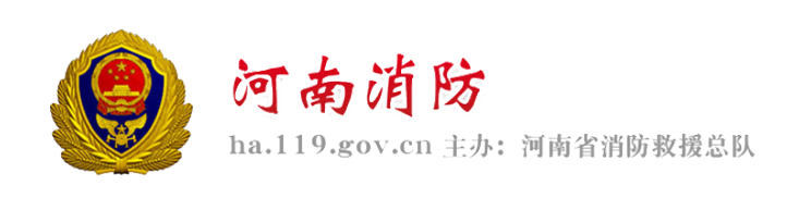 河南省消防救援总队